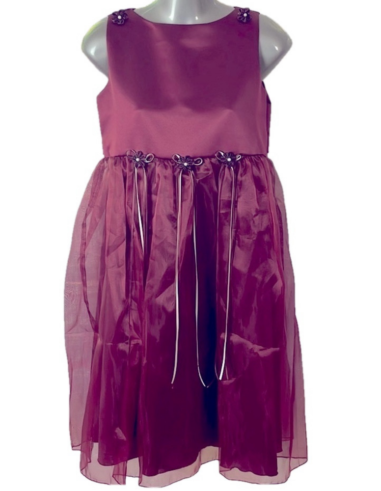 NWOT Big Girls Dress
